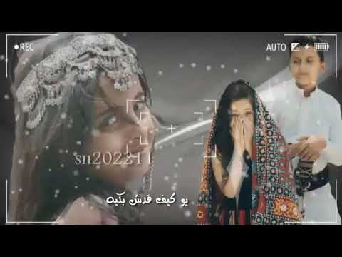 يوكيف قدش بوكيه