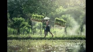 Relaxing Nuances of Rindik Bali