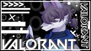 【顔面レディアント】久々の配信はフルパヴァロ w/たつみ、ひにゃ、白瀬れん、柳りま
