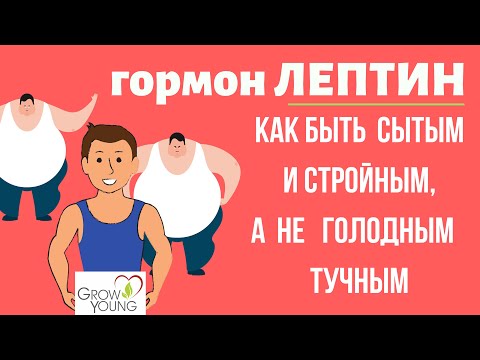 Гормон Лептин. Как быть сытым и стройным, а не голодным и тучным