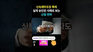 신속채무조정 특례, 실제 승인된 사례로 보는 신청 전략