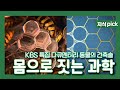 [명작 다큐멘터리 - 동물의 건축술] 3. 몸으로 짓는 과학  l  KBS 100314 방송