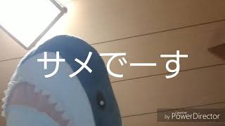 ワタザメの名前はどこからきたの?