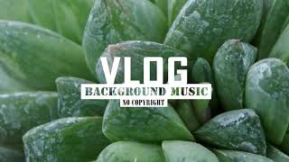 Royalty Free Inspiring Soft Background (Vlog Background Music) [Free To Use Music]