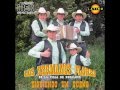 MEGAMIX-LOS HERMANOS FLORES DE RUCALHUE (siguiendo un sueño).wmv