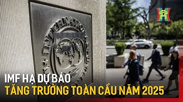 IMF hạ dự báo tăng trưởng toàn cầu năm 2025 | Tin tức