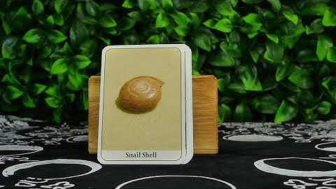 Nature’s Wisdom mini Message Cards Flip Through Scott Alexander King