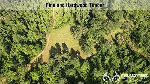 380 Acres For Sale Jefferson County, Mississippi