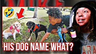 He’s Wild🔥LoftyLiyah Reacts To IShowSpeed I Found My Dog A Girlfriend!