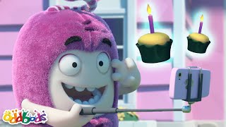 Hora da Foto! | Oddbods Brasil | Desenhos Animados em Português