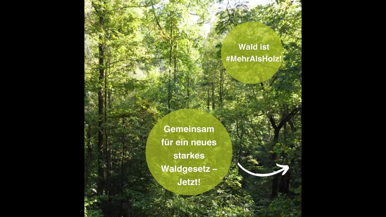 Vereinigung der Freizeitreiter und -fahrer in Deutschland e.V.