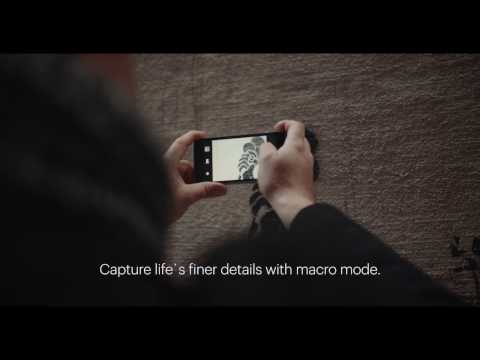 How-to: Get Ready for Your Close-Up with Macro Mode on Kodak Ektra