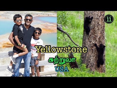 Video: Roen Før Stormen? Yellowstone Skremmer Stadig USA - Alternativt Syn
