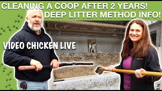 Video Chicken Live: Cleaning out the Coop after 2 Years | Deep Litter Method