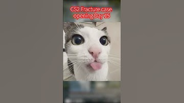 CS2 Fracture Case opening Day 15 #csgo #cs2case #cs2caseopeninng #cs2caseopening