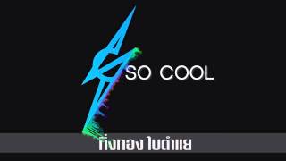 Video thumbnail of "กิ่งทองใบตำแย - SO COOL"