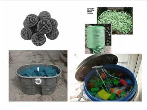 biofilters for small ponds - youtube