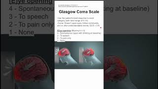 Glasgow Coma Scale Resimi