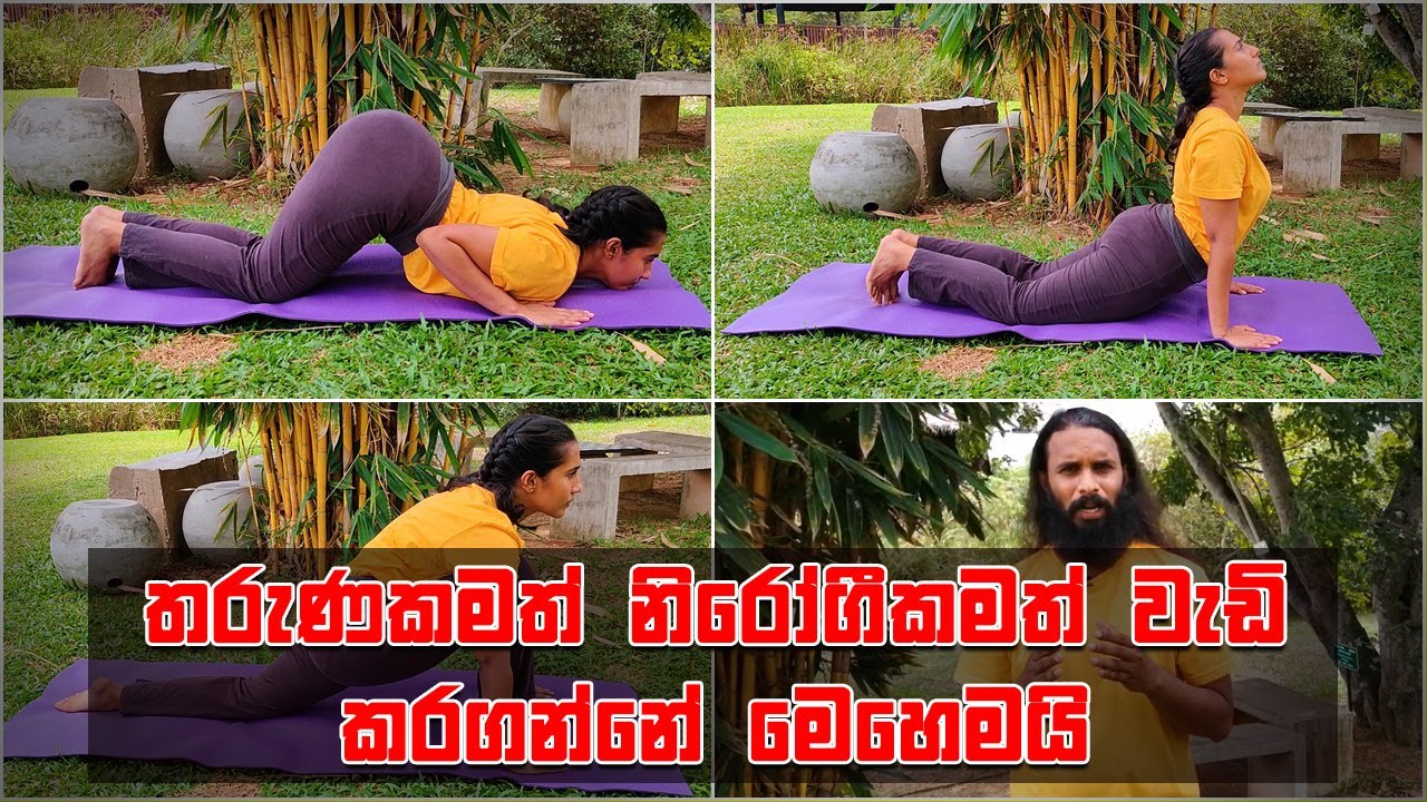 තරුණකමත් නිරෝගීකමත් වැඩි කරන යෝගා - Yoga  | Ayu Rahas EP 01