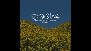﴿فقلت استغفروا ربكم إنه كان غفارا يرسل السماء عليكم مدرارا ياسر الدوسري سورة نوح حالات واتس اب🤍