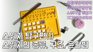 키린이를 위한 스위치 탐구편 1(스위치의 종류, 구조, 윤활방법)