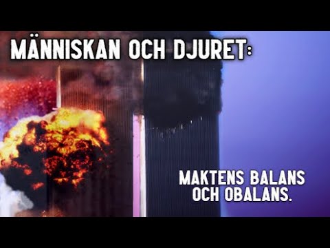 Video: Varför Människan är Ett Djur