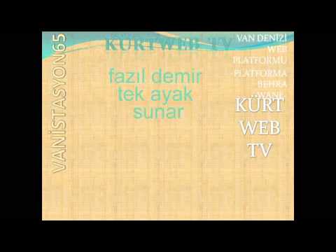 Fazıl Demir-Tek Ayak 1a