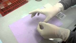 Penyediaan Slaid Bfmp