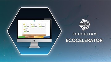 EcoCelerator and LP token