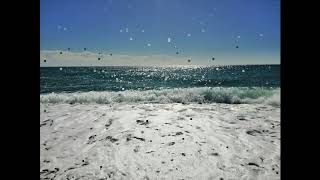 Elveda Hüseyi̇n Altin Düzenleyen Uğur Karagöz