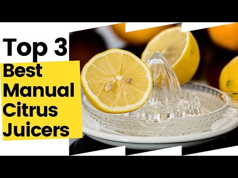 3 Best Manual