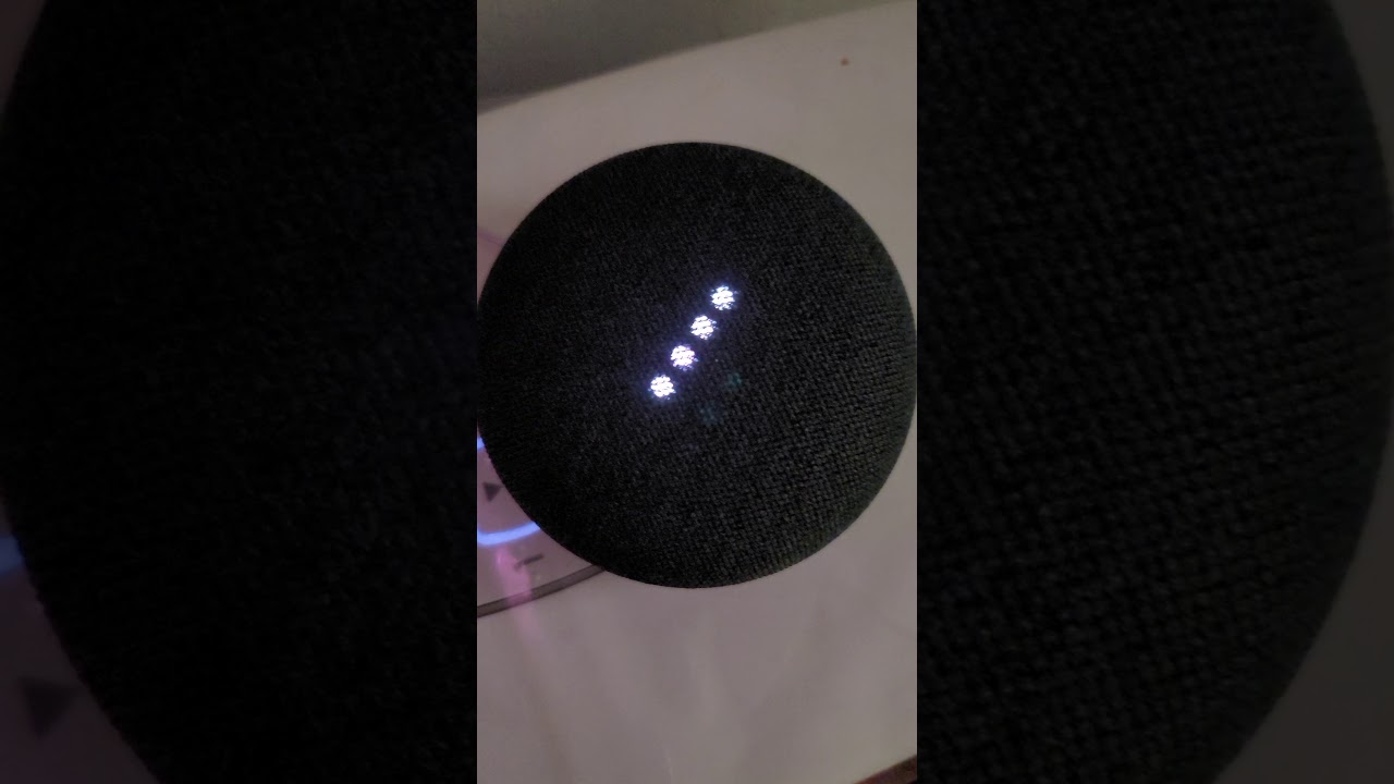 Google Home Vs Alexa: How Many Times Can A Woodpecker Peck In One Second?