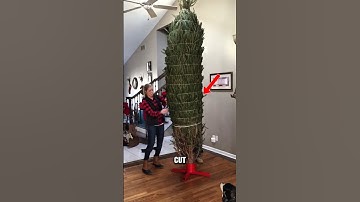 Why Real Christmas Trees Turn Into a Nightmare 🎄 #marrychristmas