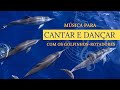 Música para cantar e dançar com os golfinhos-rotadores.