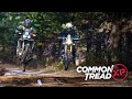 Christmas Trees on ADVs! Honda Africa Twin 1100 vs. Triumph Scrambler 1200 XE | CTXP