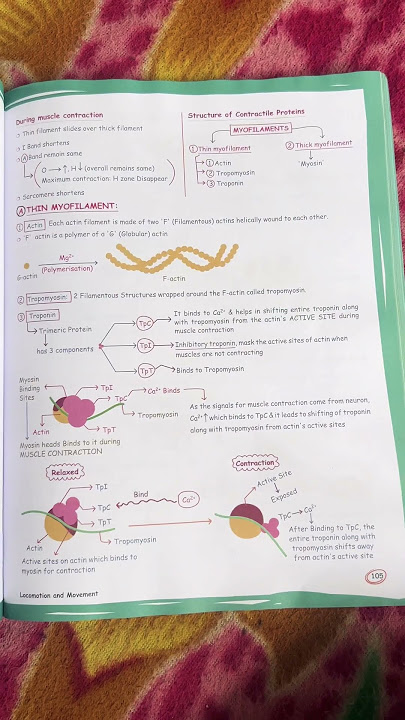 #physicswallah #inspiration #motivational #sad #new #pw #viral #alakhsir #biology #motivation