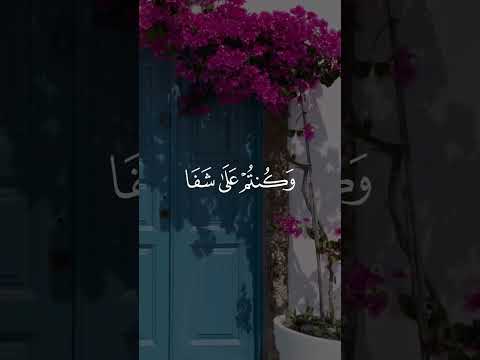 واعتصموا بحبل الله جميع ا