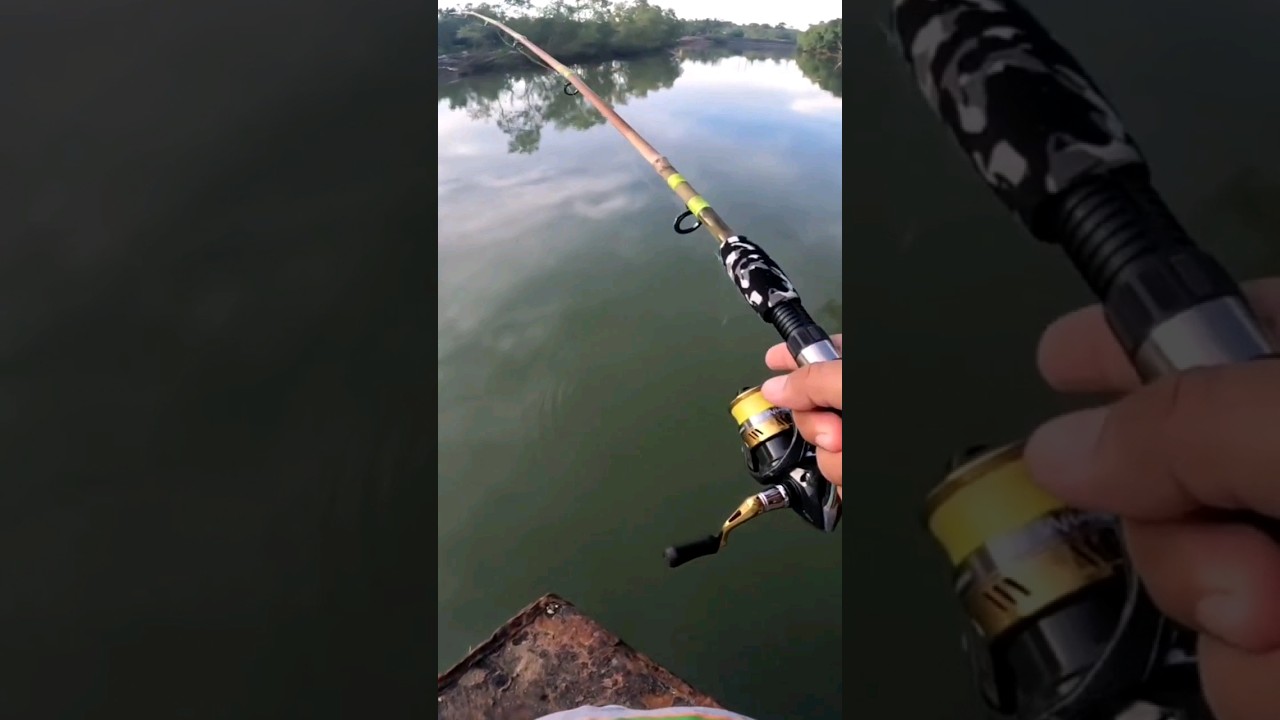 DIY Bamboo Rod Fishing #mancing #fishing #happyfishing #river #fishingrod