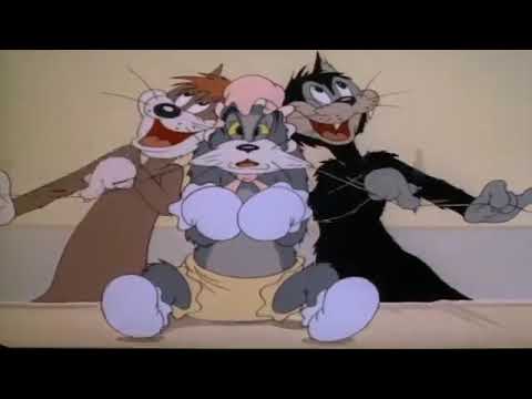 Tom and Jerry Baby Puss episode 12 part 3