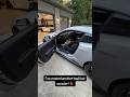 LITTLE GUY REVVING THE SHEBLY!