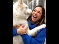 He Choose No One .. Until This Happened! #dogadoption #shelterdogs #animalrescue #animals