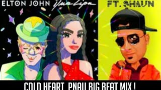 Elton John, Dua Lipa - Cold Heart (PNAU Remix) Official Video DJ Shaun
