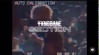 YXNG BANE - Section - (Official Video)[Trailer]