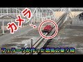 240キロの世界を中から撮影したら爆風で画面崩壊したｗｗｗ【フェラーリ・ワールド】