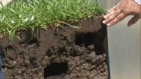 Qual é o tipo de solo no Pampa?