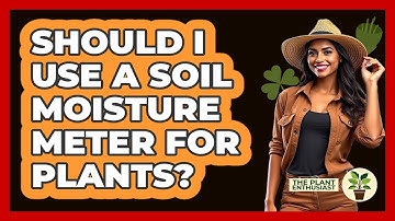 Should I Use A Soil Moisture Meter For Plants?