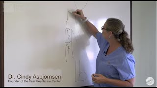 Your Veins Explained