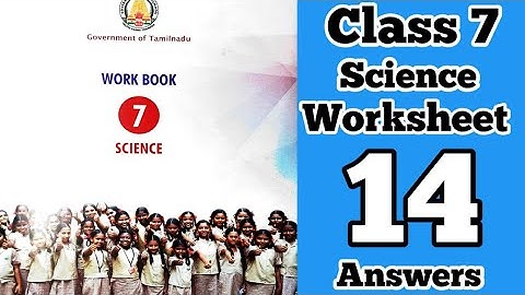 7th Standard Science Bridge Course Worksheet-14 Answers