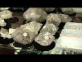 Quartz points at points of light asheville