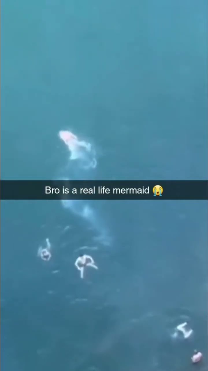 Prvnci a real mermaid I guess we knew by the beat too